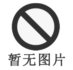 PosiTector200木材塑料混凝土涂層測厚儀（）
